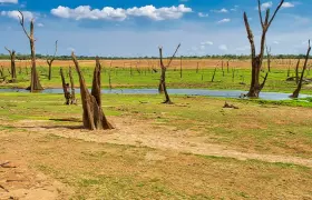 Mitigation Of Climate Change Effects