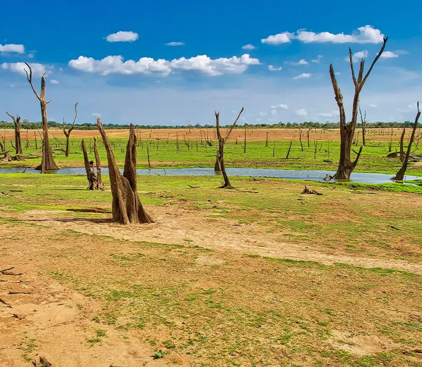 Mitigation Of Climate Change Effects